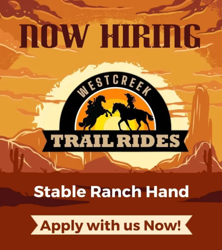 IMG_5199-r9sio0sjrbzrdbeu7vw0pgs7cyqy6c3a6zpslg2328