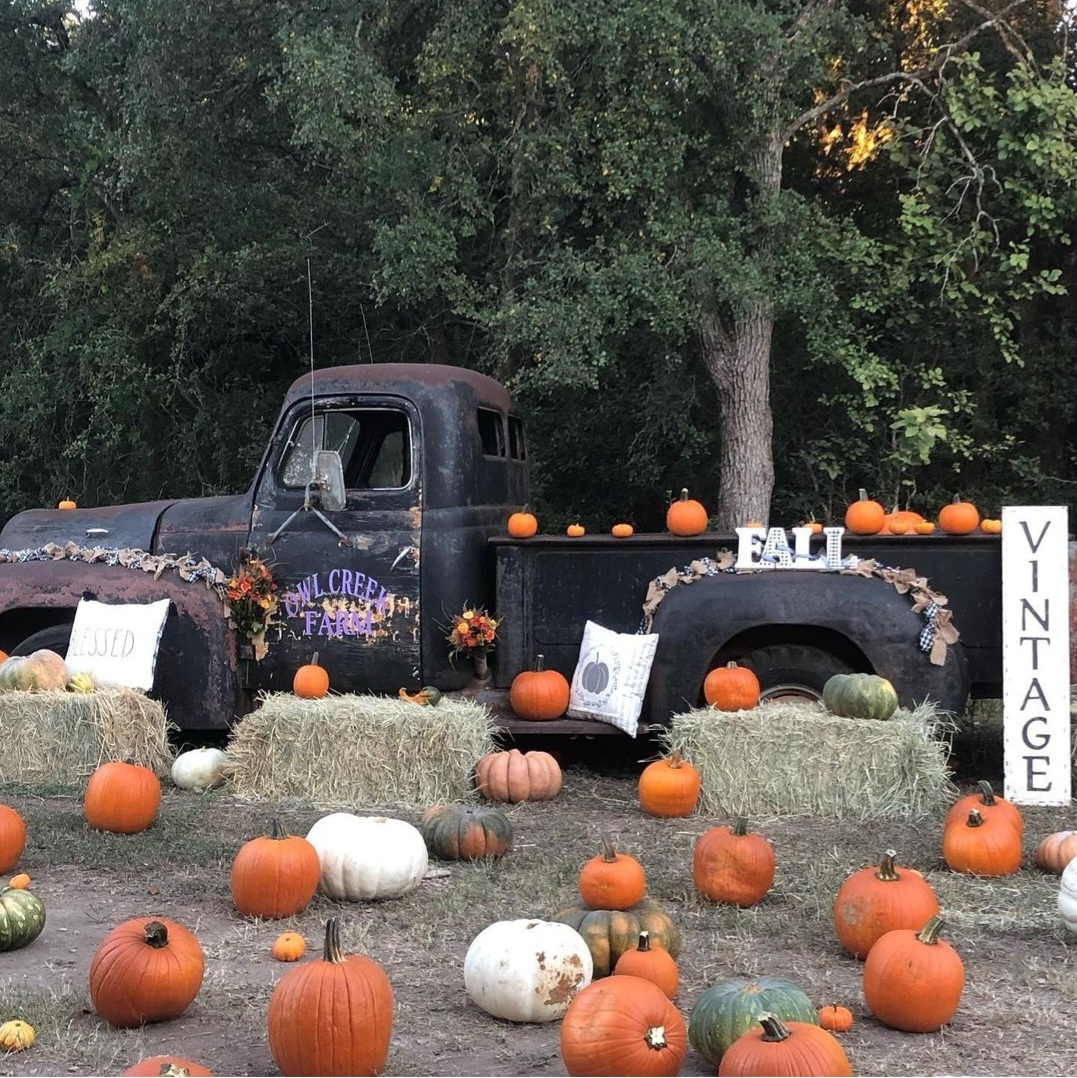 Vintage truck with pumpkins and hay bales in an autumn farm setting.