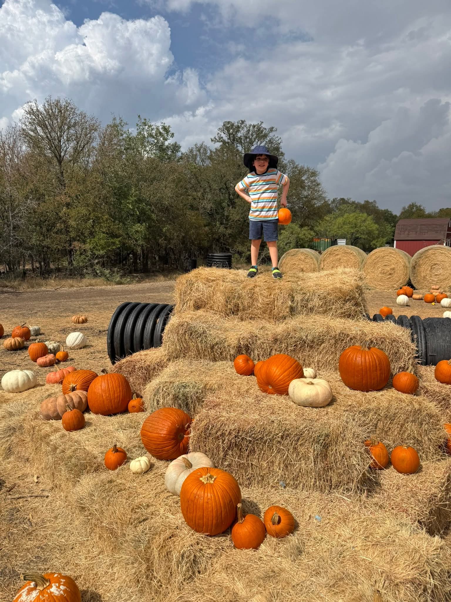 Child standing on hay bale surrounded by pumpkins under a cloudy sky.