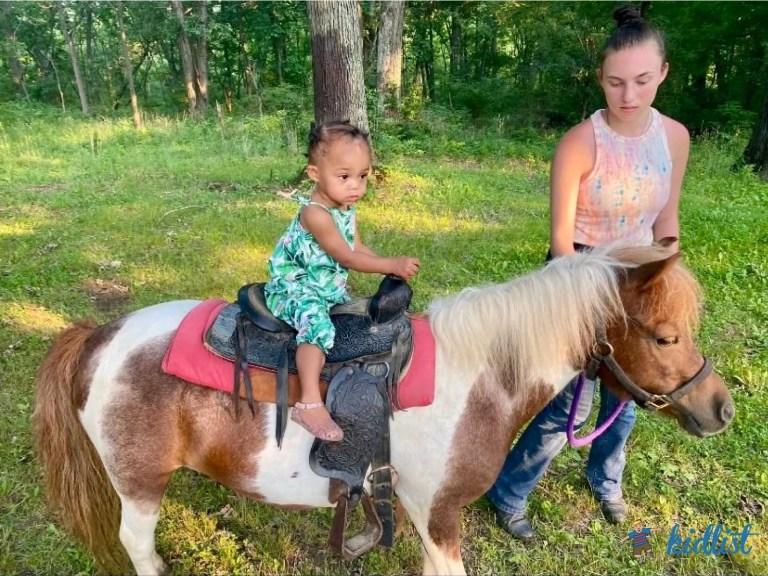 Child sitting on a small horse with an adult standing nearby in a grassy wooded area.